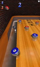 10-pin-shuffle-bowling3