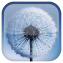 Galaxy S3 S4 APK
