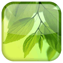 Galaxy S4 Leaf APK
