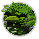 Zen Garden APK